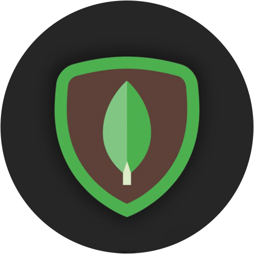 MongoDB Inc