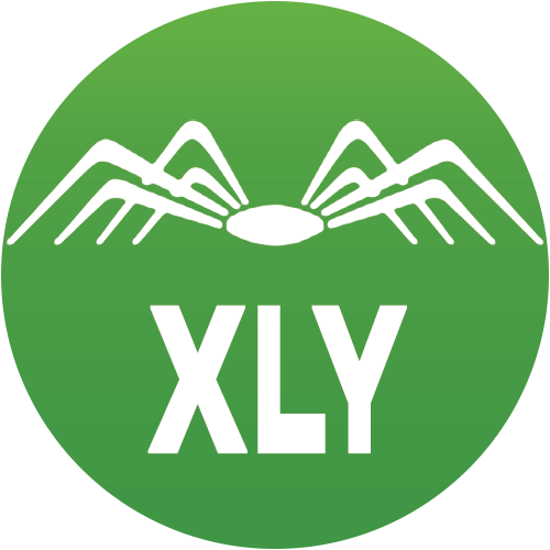 The Consumer Discretionary Select Sector SPDR Fund