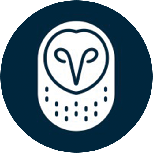 Samsara Inc