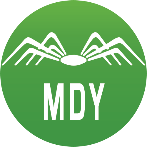 SPDR S&P MidCap 400 ETF Trust